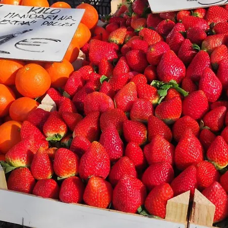 Apartment Casa Elena Pacos Fuengirola