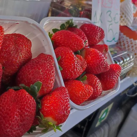 Apartment Casa Elena Pacos