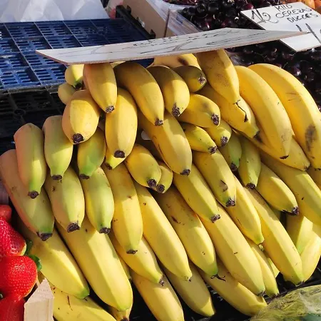 Casa Elena Pacos Apartment