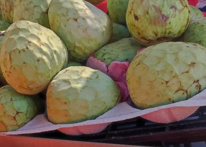 Apartment Casa Elena Pacos