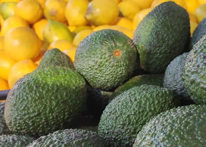 Casa Elena Pacos Appartamento