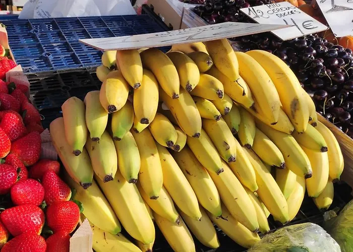 Casa Elena Pacos Appartamento