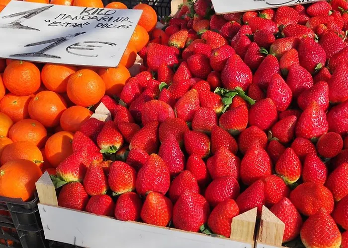 Appartamento Casa Elena Pacos Fuengirola