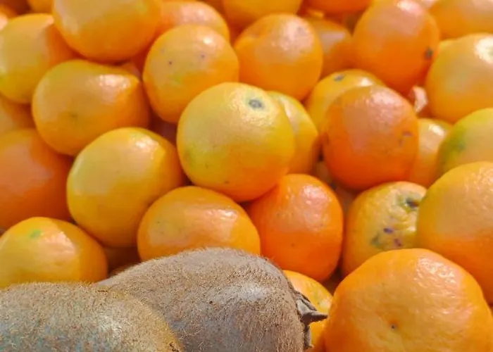 Casa Elena Pacos Appartamento *