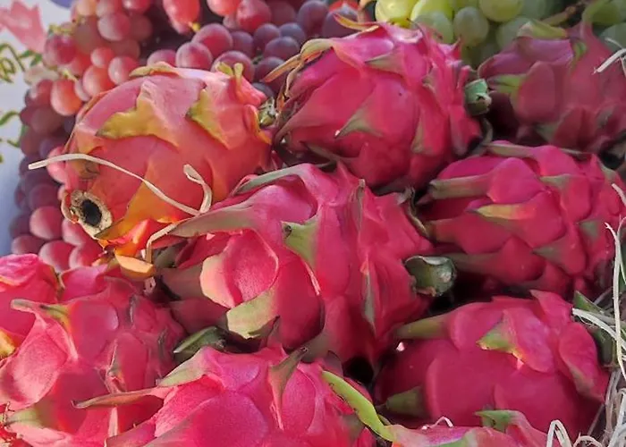 Appartamento Casa Elena Pacos