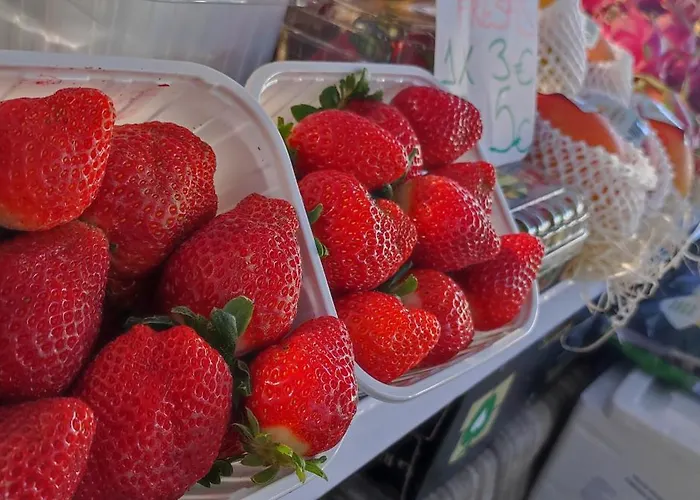 Appartamento Casa Elena Pacos